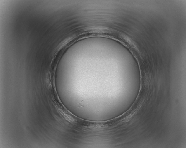 X0000069810970200606021501