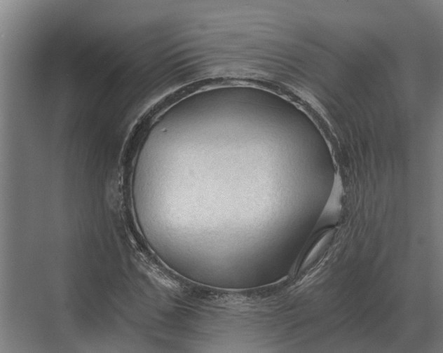 X0000069810971200606021501