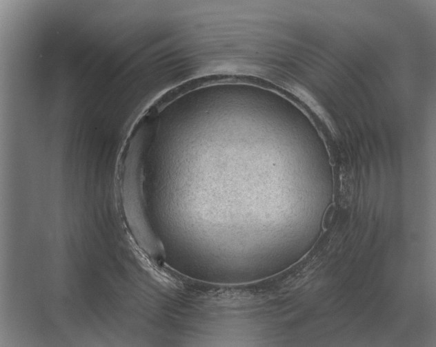 X0000069810972200606021501