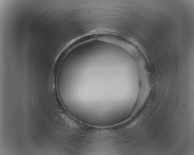 X0000069810973200606021501