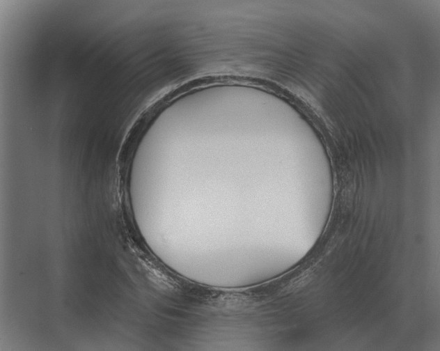 X0000069810974200606021501