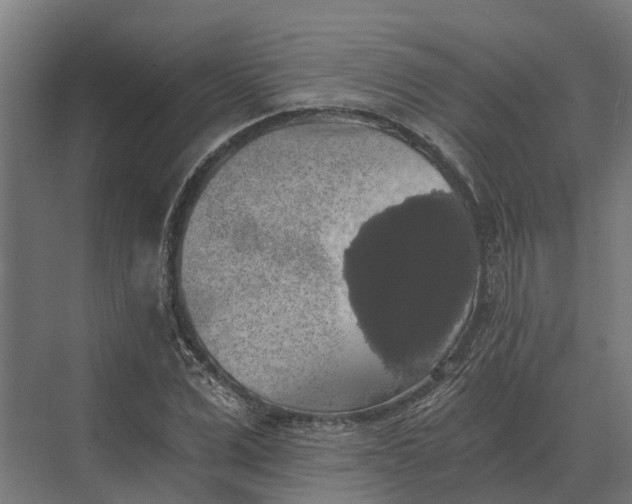 X0000069810975200606021501