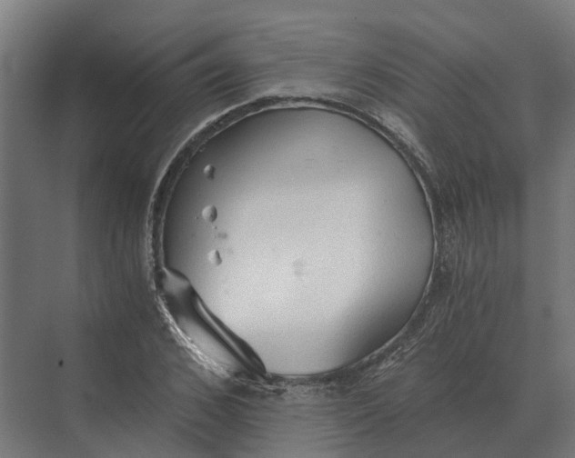 X0000069810976200606021501