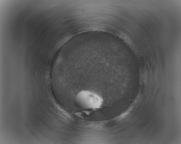 X0000069810977200606021501