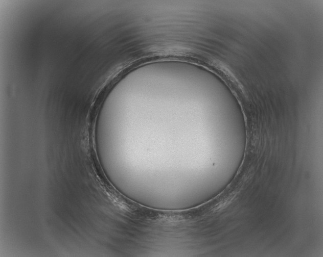 X0000069810978200606021501