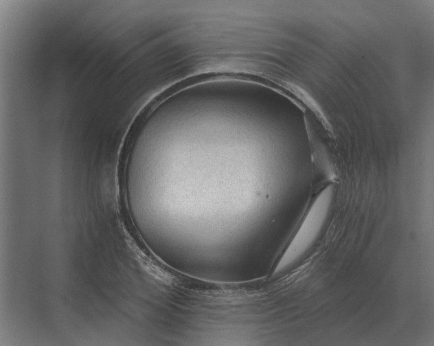 X0000069810980200606021501