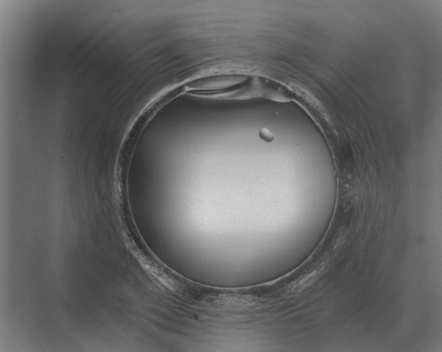 X0000069810981200606021501