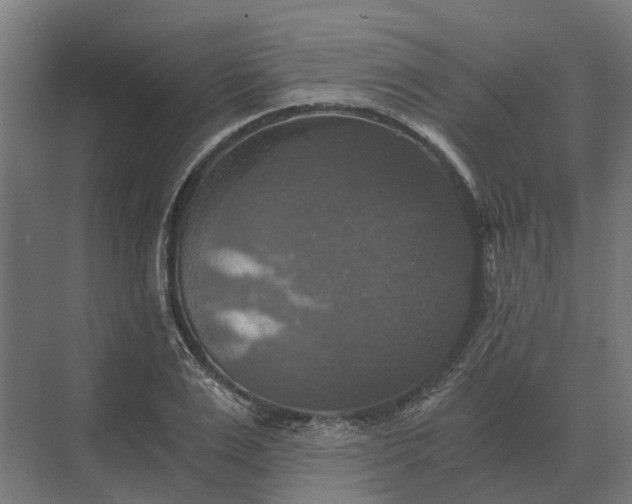 X0000069810983200606021501