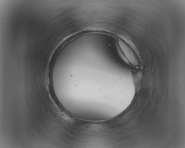 X0000069810984200606021501