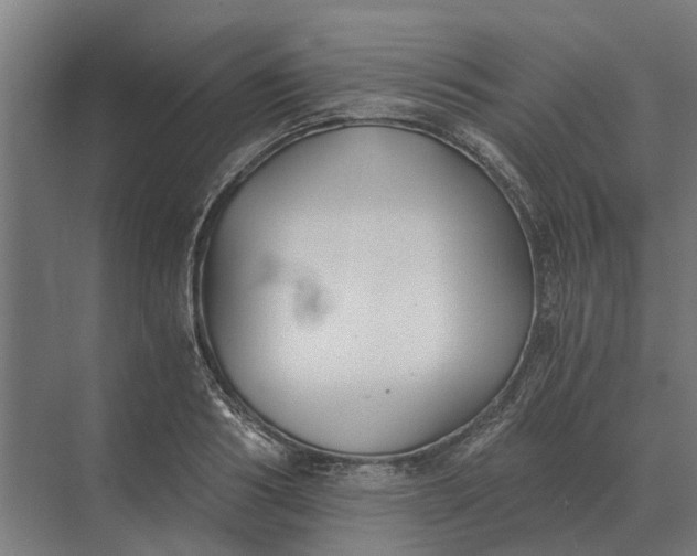 X0000069810986200606021500