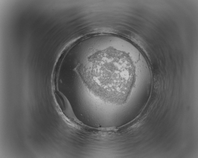 X0000069810987200606021500