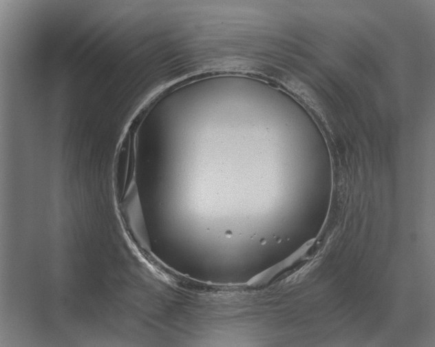 X0000069810989200606021500