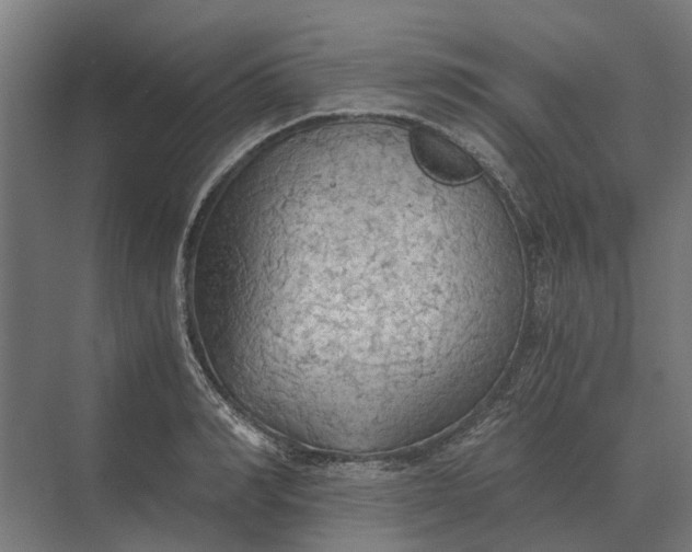 X0000069810990200606021500