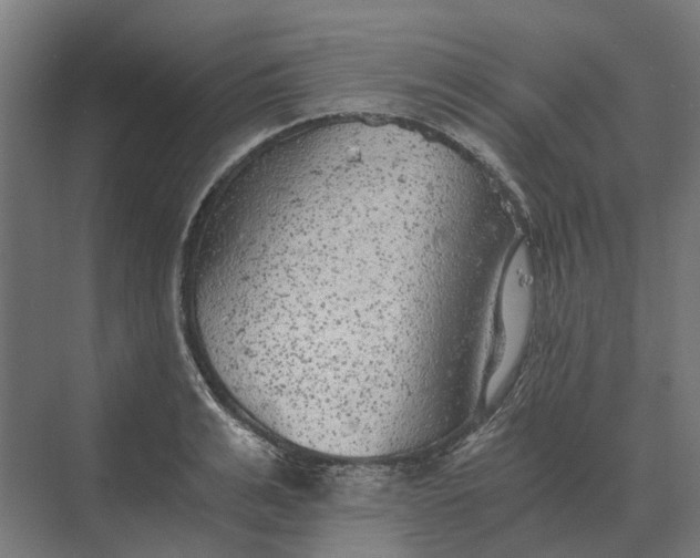 X0000069810991200606021500