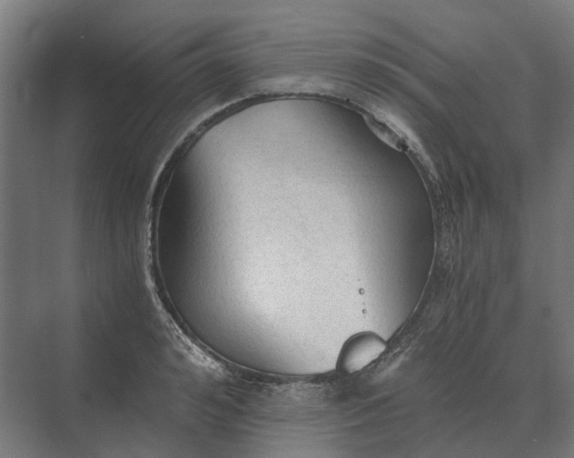 X0000069810992200606021500