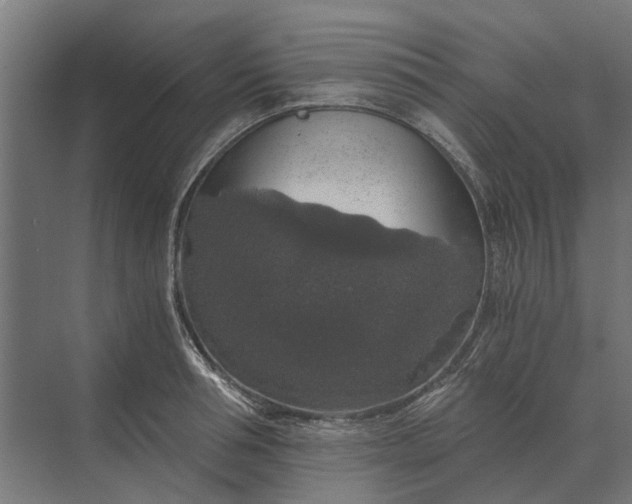 X0000069810994200606021500