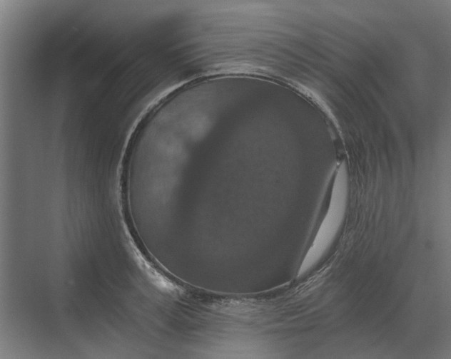 X0000069810995200606021500