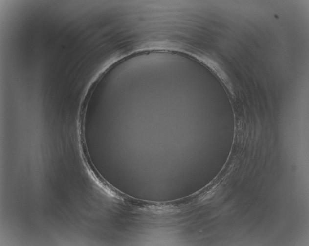 X0000069810998200606021500