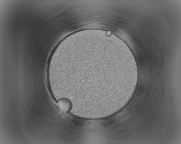 X0000069811000200606021500