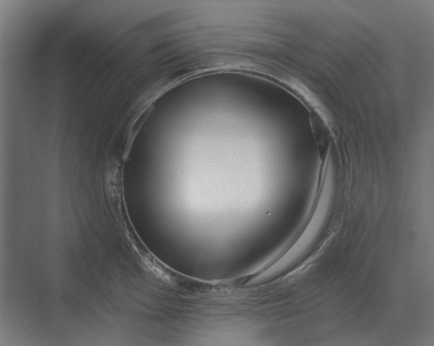 X0000069811001200606021500