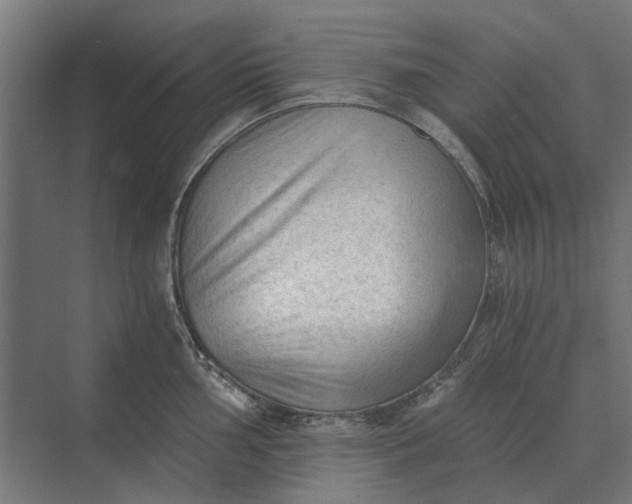 X0000069811002200606021500