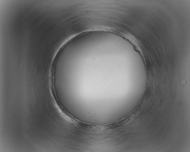 X0000069811003200606021500