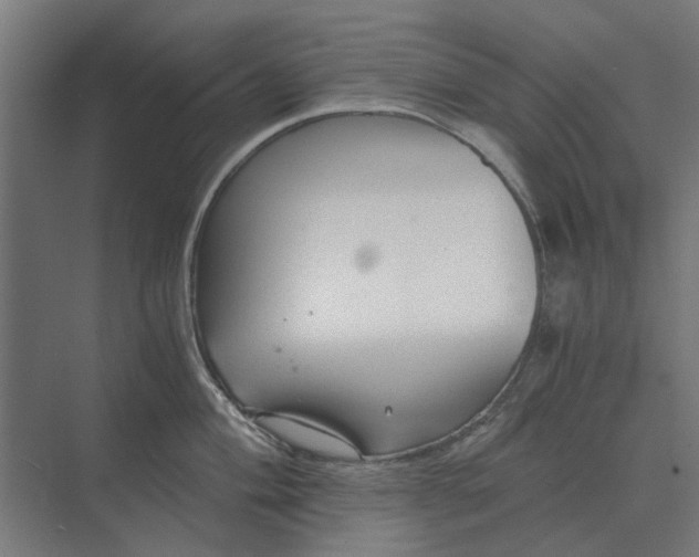 X0000069811004200606021500