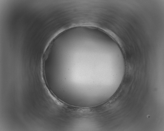 X0000069811006200606021500