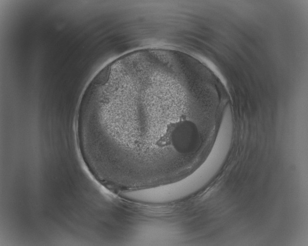 X0000069811007200606021500