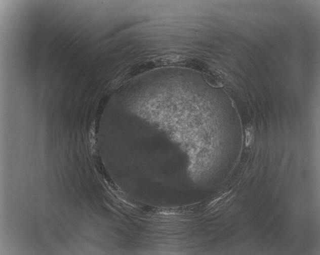 X0000069811011200606021459