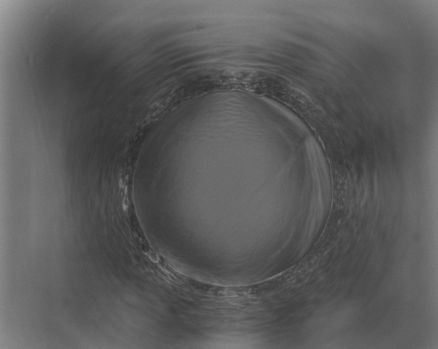 X0000069811013200606021459