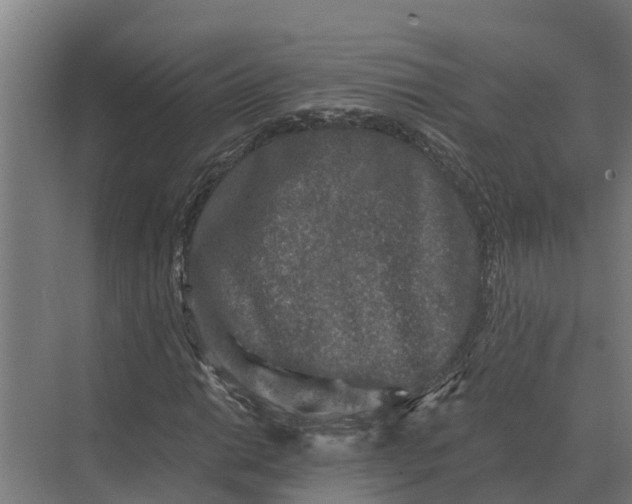 X0000069811014200606021459