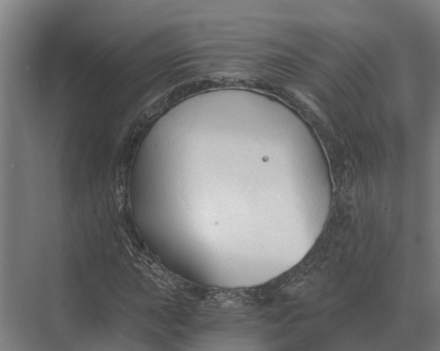 X0000069811015200606021459