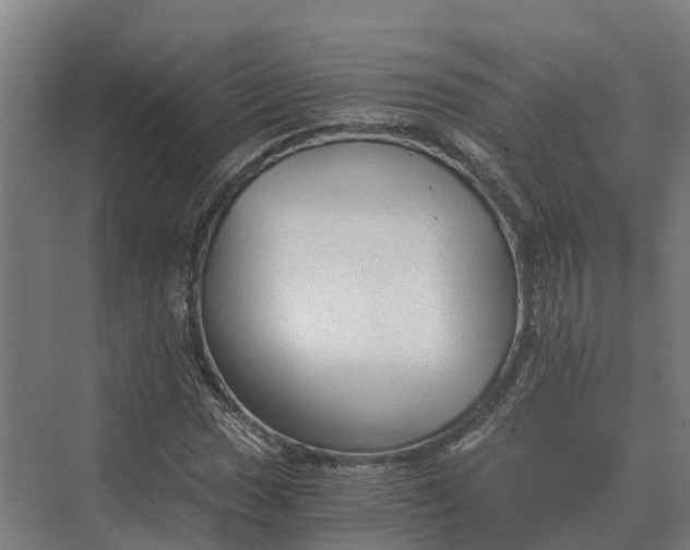 X0000069811017200606021459