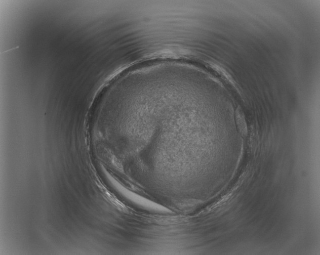 X0000069811018200606021459