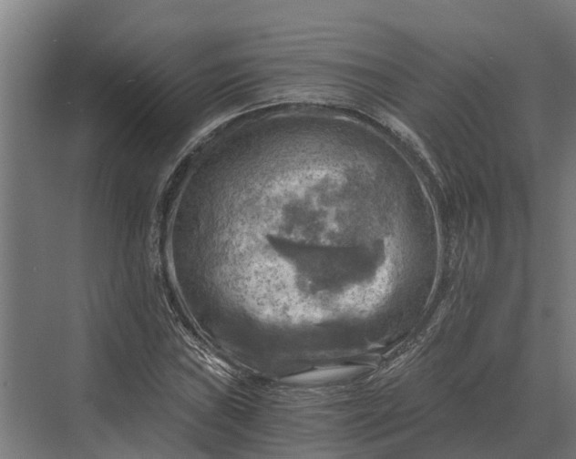 X0000069811019200606021459