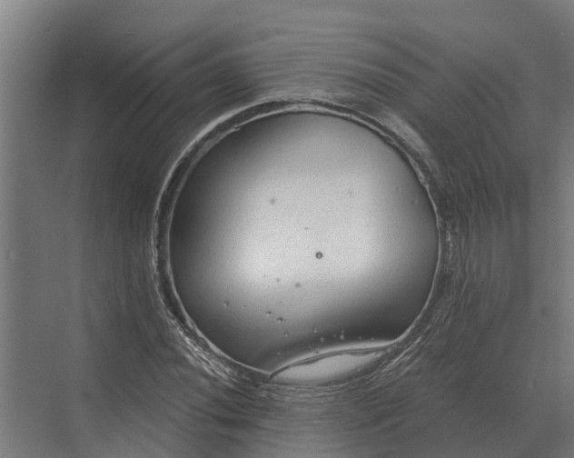 X0000069811020200606021459