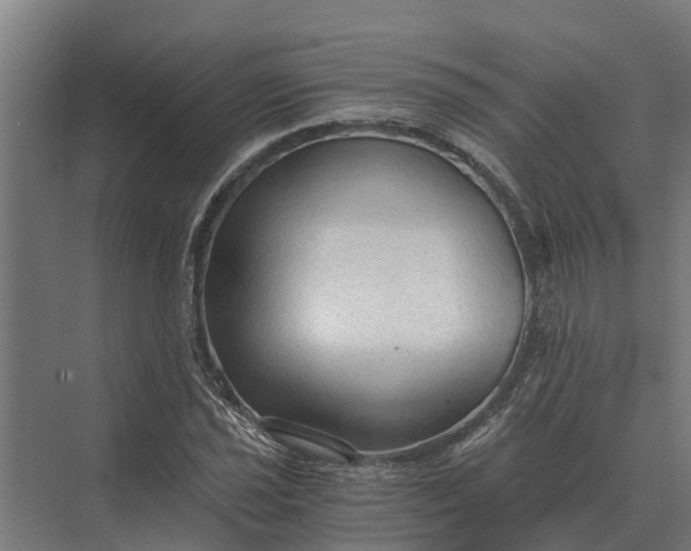 X0000069811021200606021500