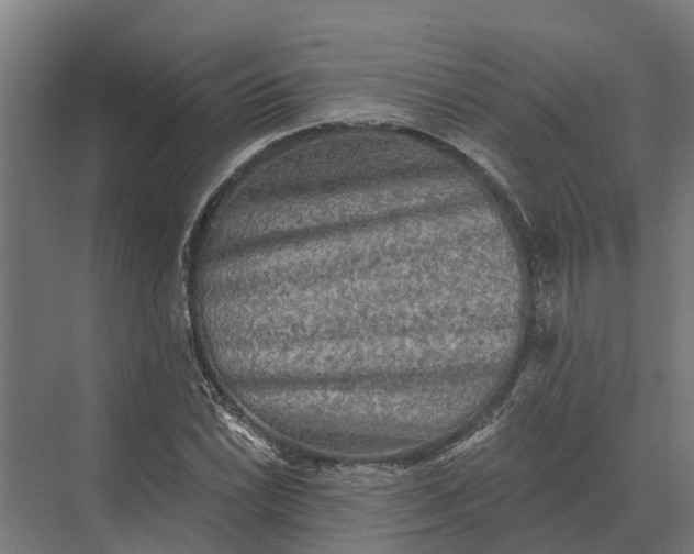 X0000069811022200606021500