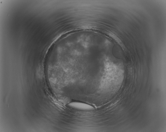 X0000069811023200606021500