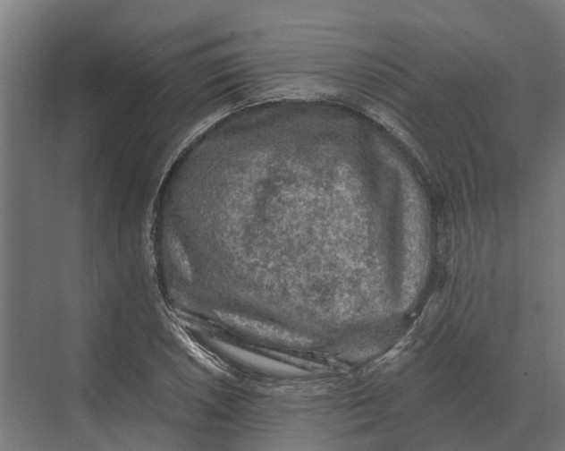 X0000069811026200606021500