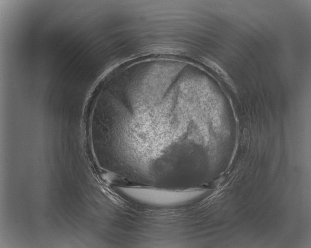 X0000069811027200606021500