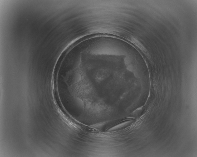 X0000069811028200606021500