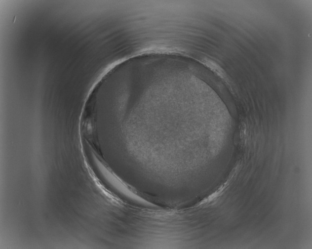 X0000069811030200606021500