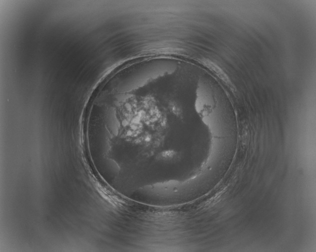 X0000069811031200606021500