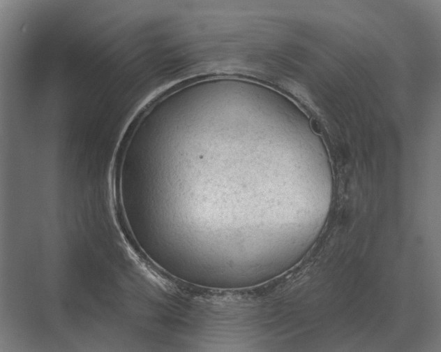 X0000069811032200606021500