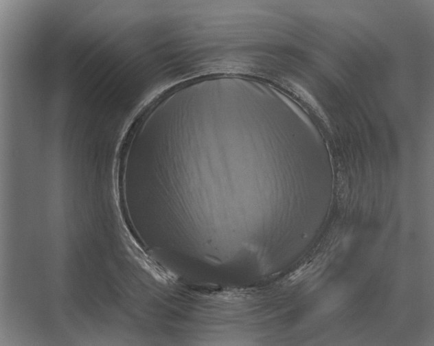 X0000069811035200606021500