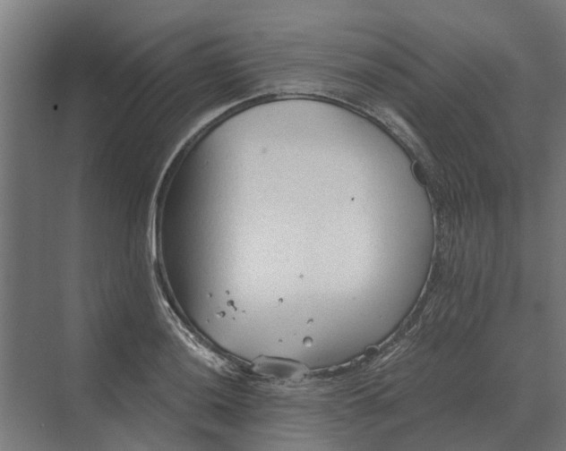 X0000069811036200606021500