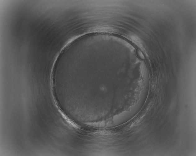 X0000069811037200606021500