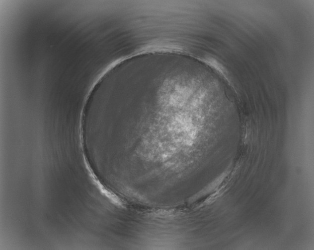 X0000069811038200606021500